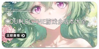 CoupleGame游戏全版本大全