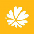 悦享动态壁纸 免费下载手机软件app
