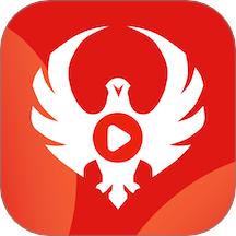 月鹰视频手机软件app