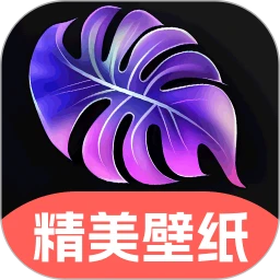 4K高清主题壁纸手机软件app