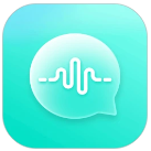 Voicelink手机软件app
