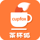 茶杯狐cupfox 官网正版入口手机软件app