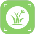 花朵物语pro手机软件app