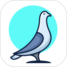 鸽手手机软件app