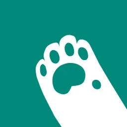 妙妙触控手机软件app