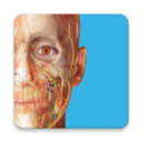 atlas人体解剖手机软件app