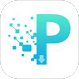 P2P下载器 会员解锁版手机软件app