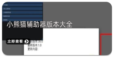 小熊猫辅助器版本大全