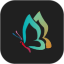 秀秀壁纸 手机版