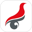 学信网 app下载2026最新版本