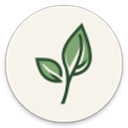 LeviLauncher启动器