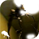 后室backrooms 正版