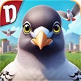 pigeonpop 最新版手游app