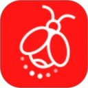 火萤动态壁纸 2026最新版手机软件app