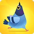 pigeonpop 全解锁免费版