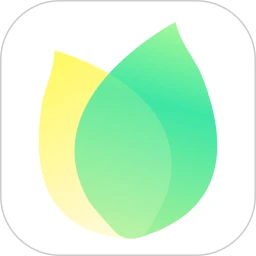 飞火动态壁纸 2026最新版