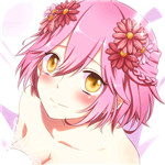 恋之花嫁 2026最新版