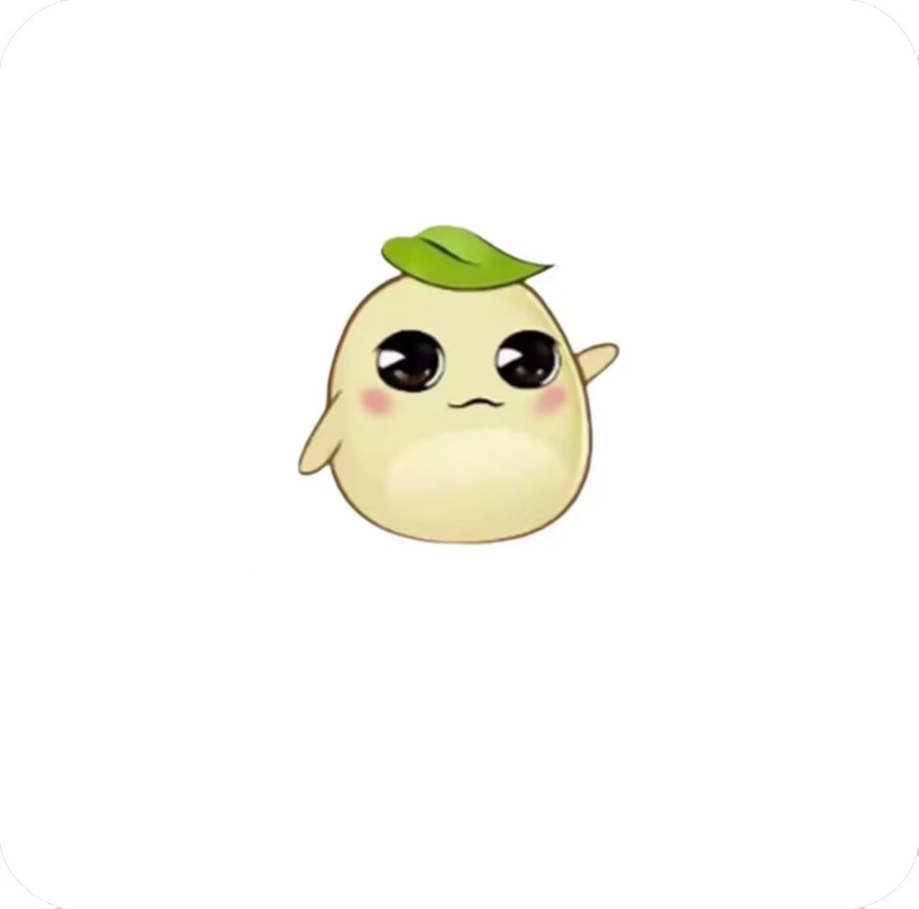 毛豆直装 V6.0科技