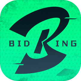 竞拍之王