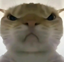 寻宝鼠辅助器 免费版