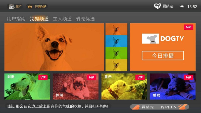 狗狗TV TV版手机软件app截图