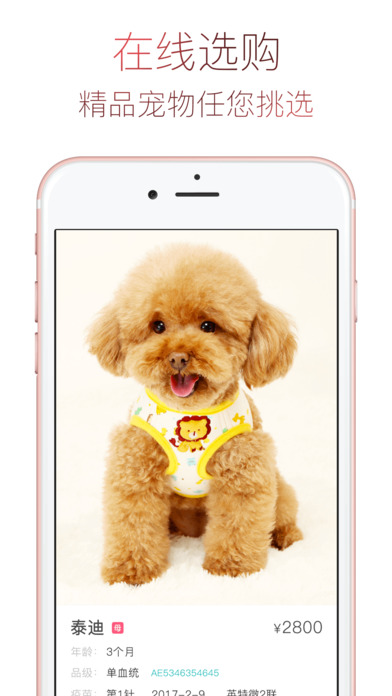 宠物Life手机软件app截图