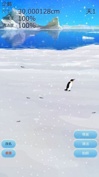 治愈的企鹅育成手游app截图