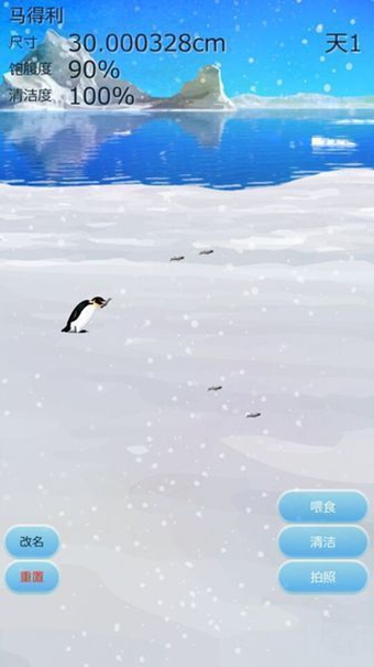 治愈的企鹅育成手游app截图