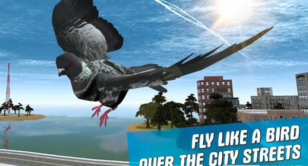 城市之鸽模拟3D手游app截图