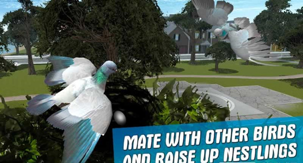 城市之鸽模拟3D手游app截图