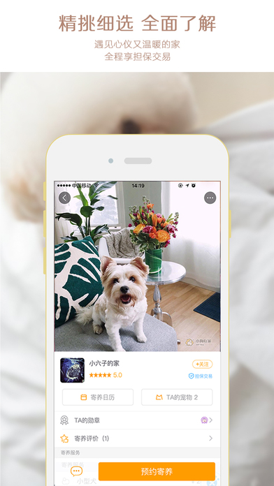 小狗在家手机软件app截图
