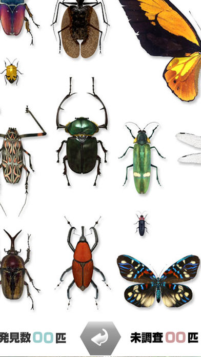 世界的昆虫采取手游app截图
