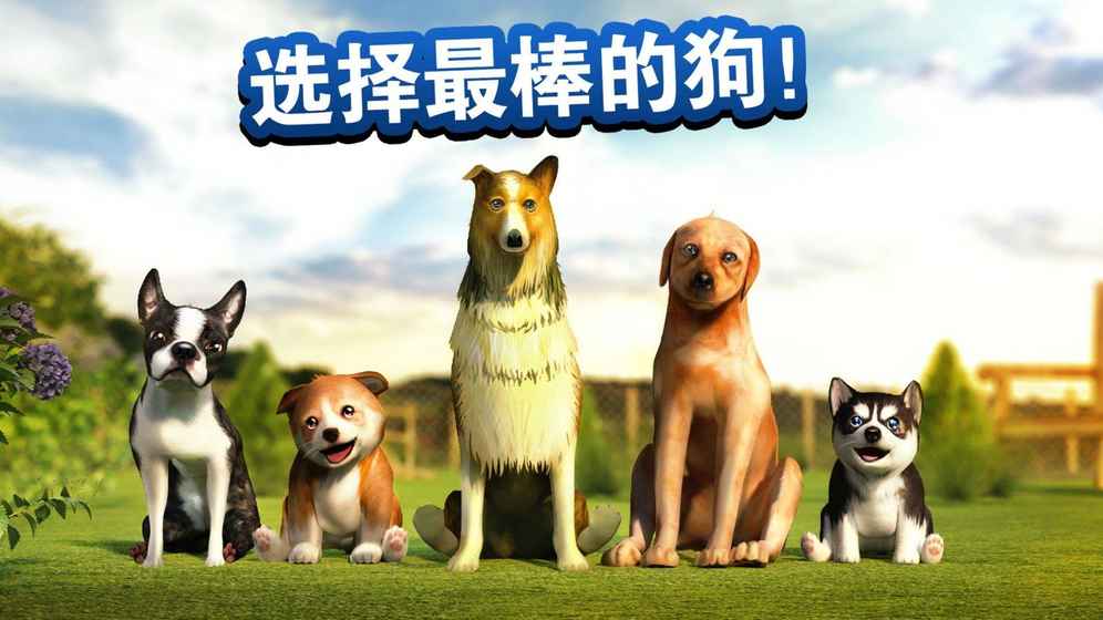 模拟狗狗手游app截图