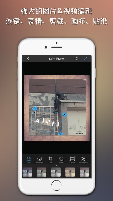格子视频手机软件app截图