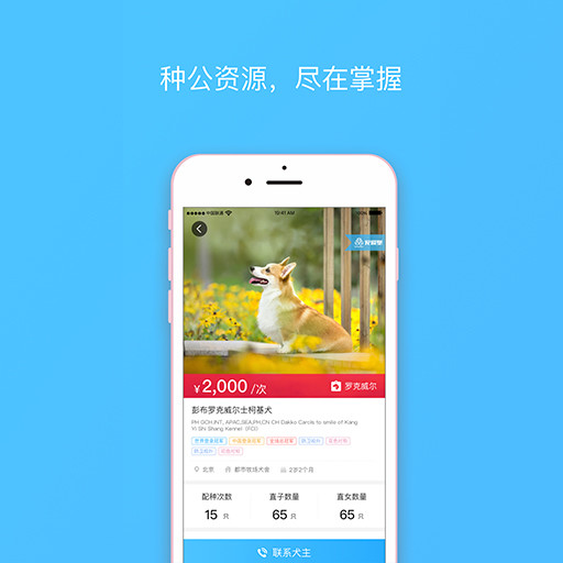 宠爱堡手机软件app截图