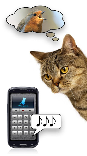 人猫交流器手机软件app截图