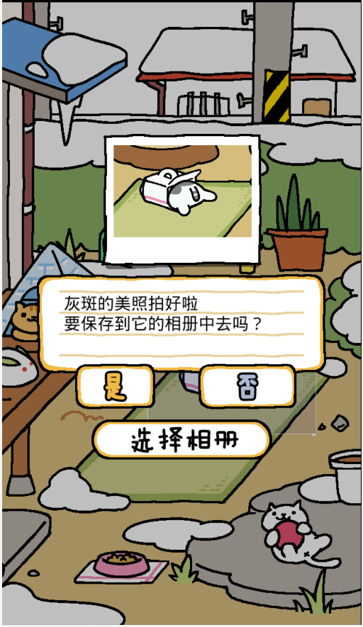 猫咪后院手游app截图