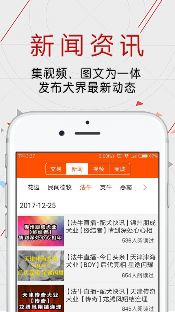 恋狗网手机软件app截图