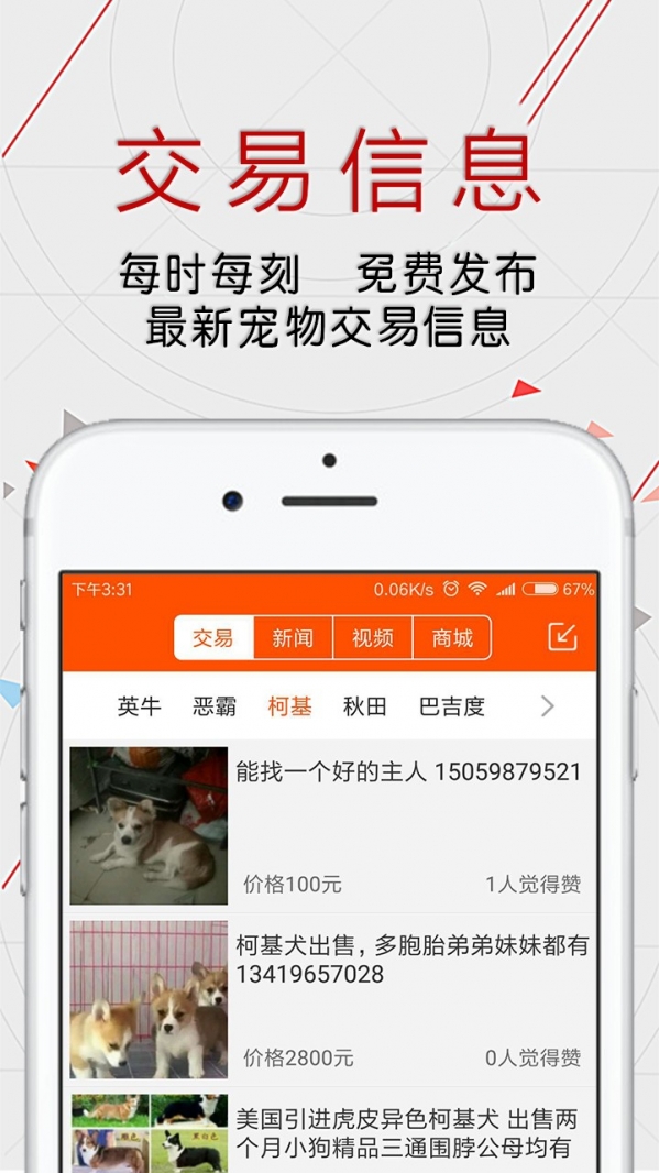 恋狗网手机软件app截图