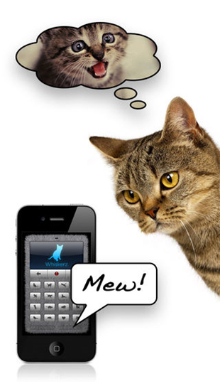 猫语翻译器手机软件app截图