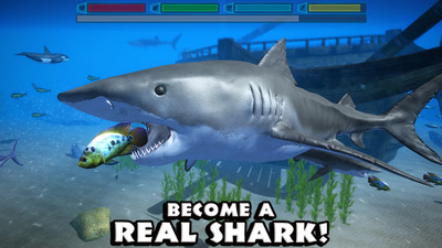 鲨鱼模拟器手游app截图