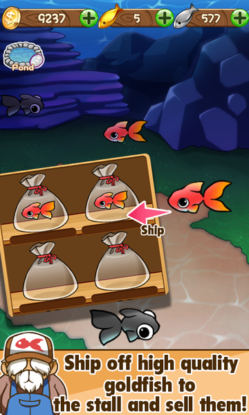 金鱼收藏手游app截图