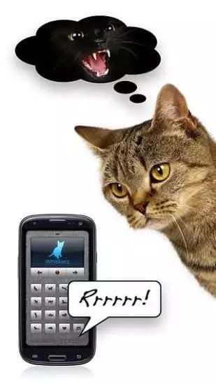 人猫翻译器手机软件app截图