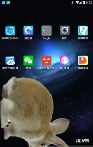 咪萌桌面宠物手机软件app截图
