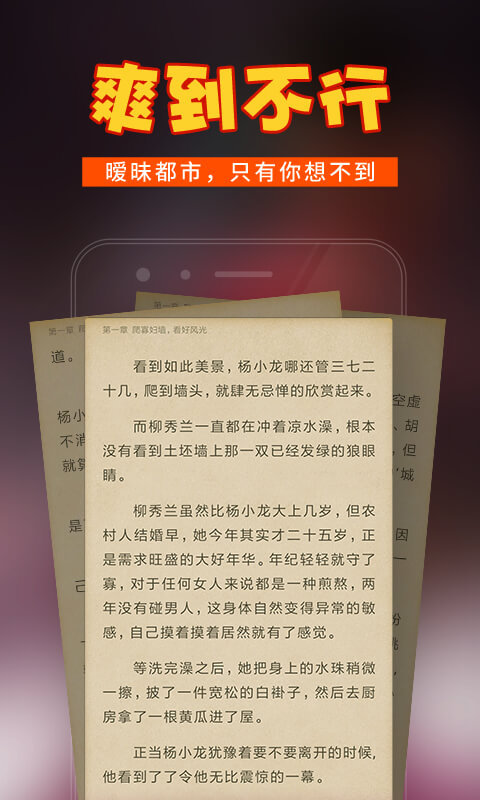 乡村小说手机软件app截图