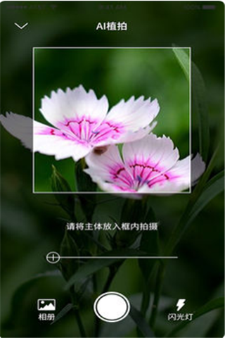 爱植拍手机软件app截图