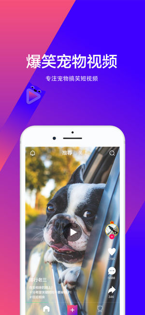 宠音短视频手机软件app截图