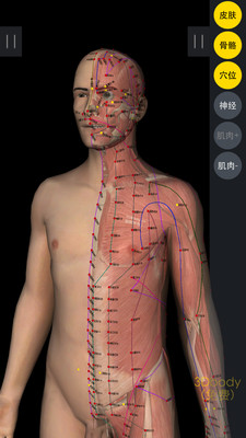 3DBody解剖手机软件app截图