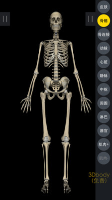 3DBody解剖手机软件app截图