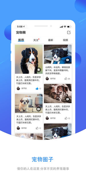 犬易手机软件app截图